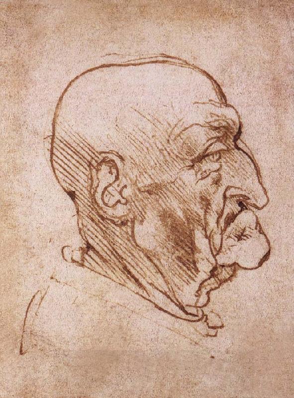 LEONARDO da Vinci Profile of an old man China oil painting art